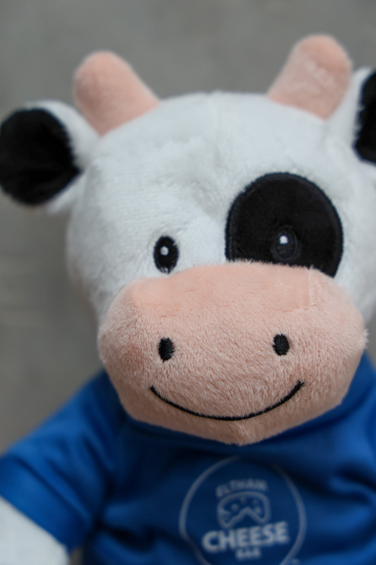 Plush Cow Teddy