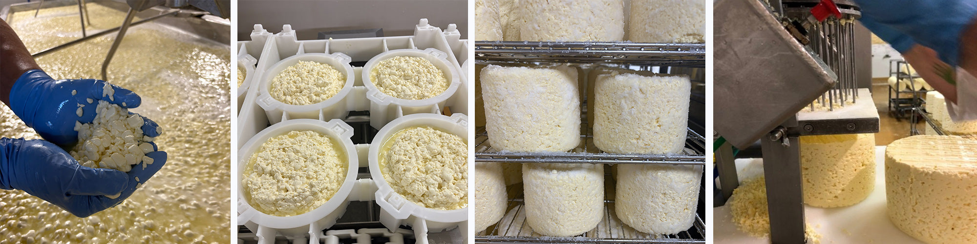 Collage of images showing different stages of cheese manufacturing process.